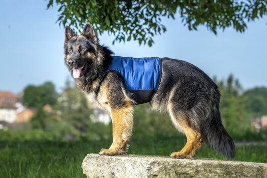 PCM constant temperature cooling vest