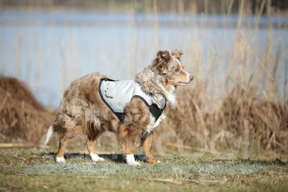 The canicool DRY Vest worn by a dog outside, close to a lake, with the dog looking to the side.