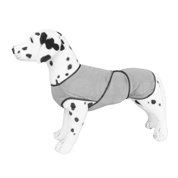 canicool - keeps your dog cool! - Other Brand*