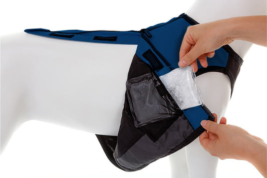 cani.cool - PCM constant temperature cooling vest - CC-VDP-S