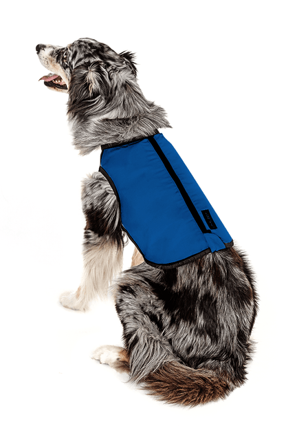 cani.cool - PCM constant temperature cooling vest - CC-VDP-S